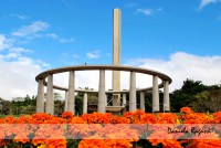 /album/exposi%c3%a7%c3%a3o%2022-07-11%20-%2013-08-11/c-jpg/