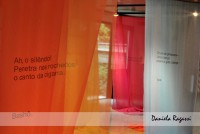 /album/exposi%c3%a7%c3%a3o%2022-07-11%20-%2013-08-11/cc-jpg/