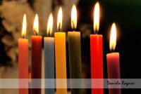 /album/exposi%c3%a7%c3%a3o%2022-07-11%20-%2013-08-11/i-jpg/