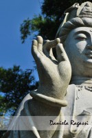 /album/exposi%c3%a7%c3%a3o%2022-07-11%20-%2013-08-11/p-jpg/