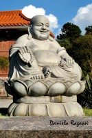 /album/exposi%c3%a7%c3%a3o%2022-07-11%20-%2013-08-11/q-jpg/