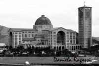 /album/exposi%c3%a7%c3%a3o%2022-07-11%20-%2013-08-11/dsc-0432-jpg/